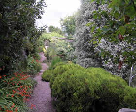 Garden 1